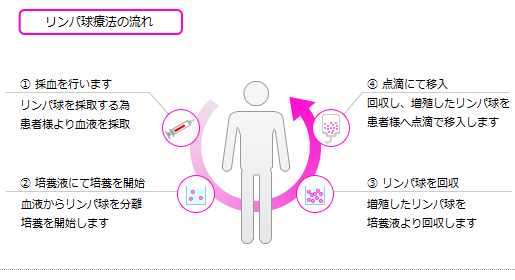 リンパ球療法の流れ